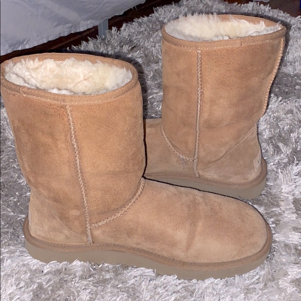 UGG boots (classic short)